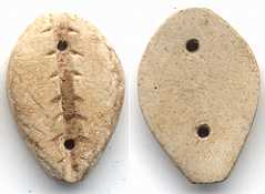 carved shell cowry